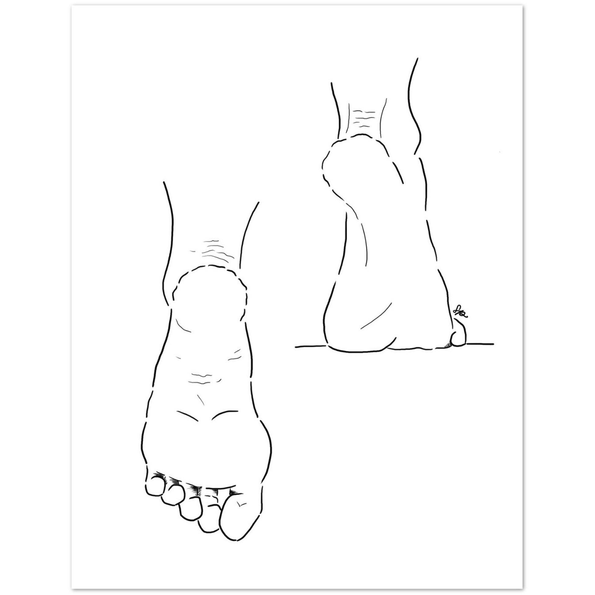 Line drawing of a foot and leg on a white background